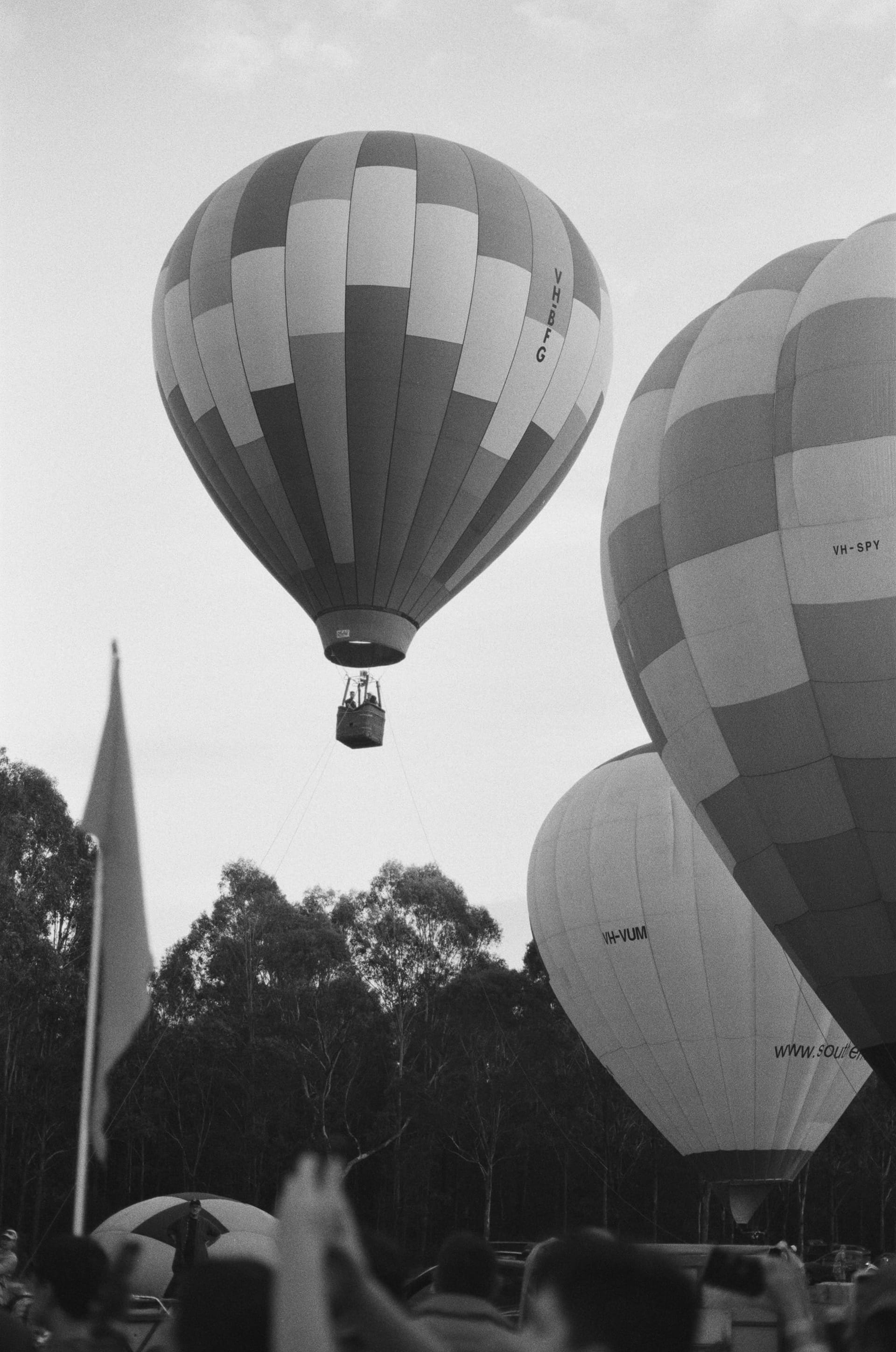 35mm - February 2025